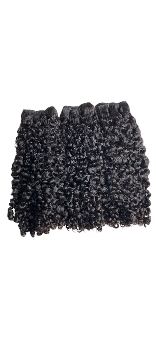 Raw Burmese Curly
