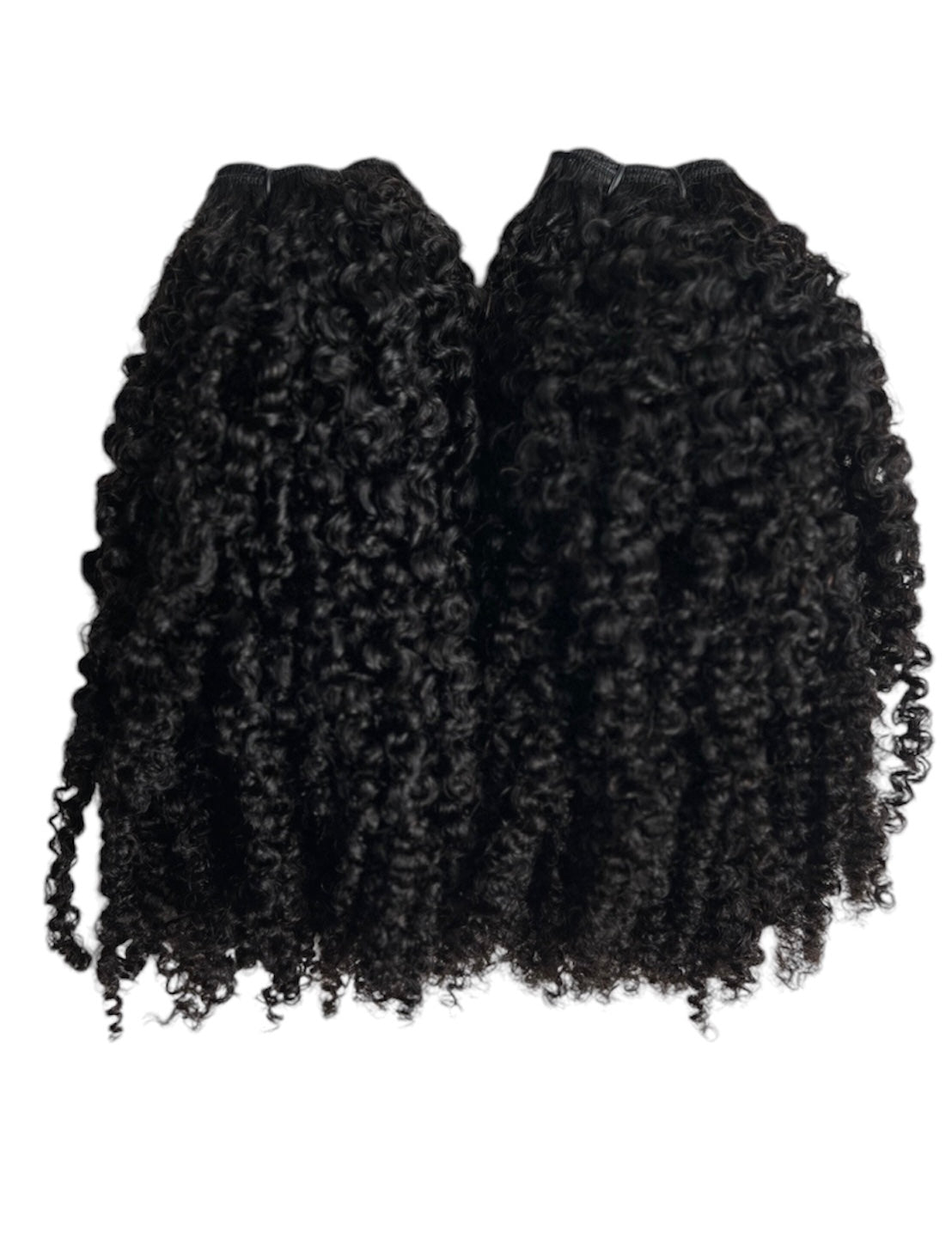 Raw Burmese Curly